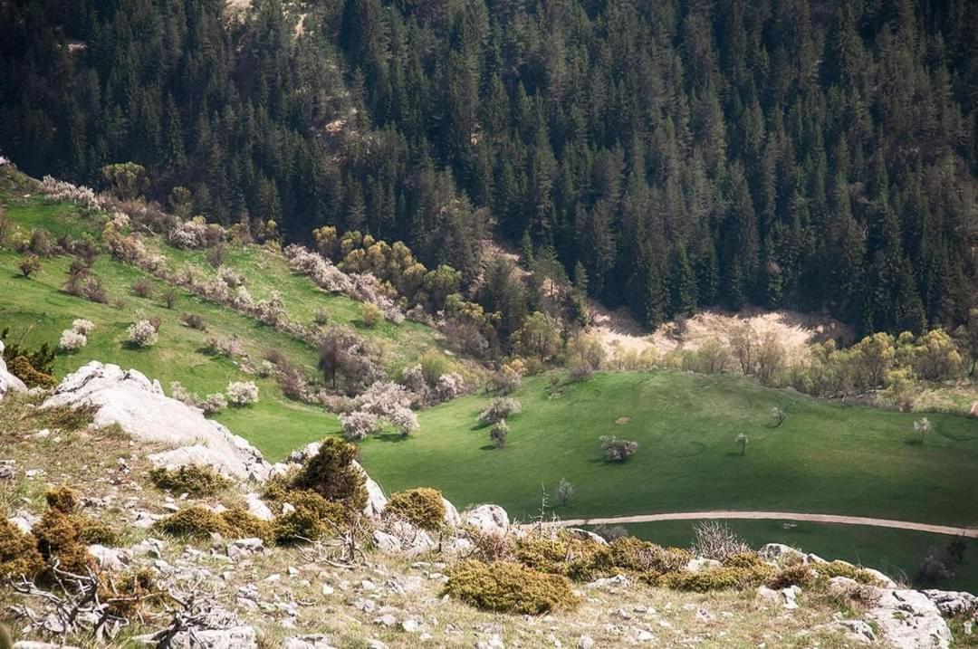 Вила Здравец ヤゴディナ エクステリア 写真